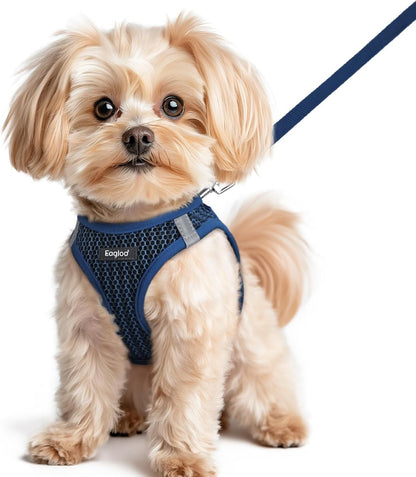 Eagloo Small Dog Harness and Leash Set, Step in Small Sized Puppy Pet Vest | Light, Soft, Breathable Air Mesh, Easy on and off with Hook & Loop, Reflective for Safe Walking, Pink, S53