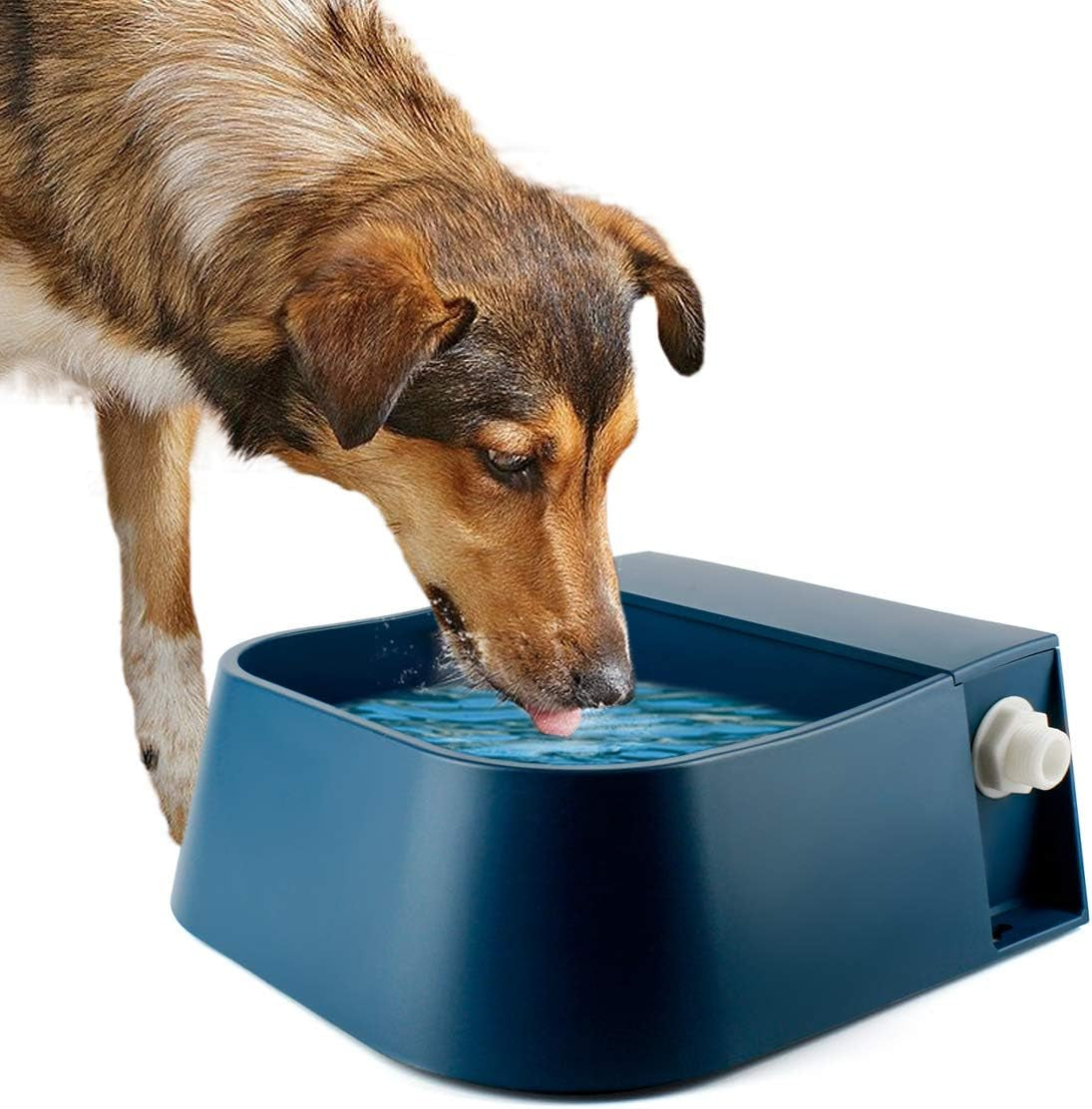lesypet-dog-automatic-water-dispenser-with-hose-68-oz-outdoor-dog-drinking-water-bowl-for-chicken-livestock-auto-filling-waterer-for-pets-livestock