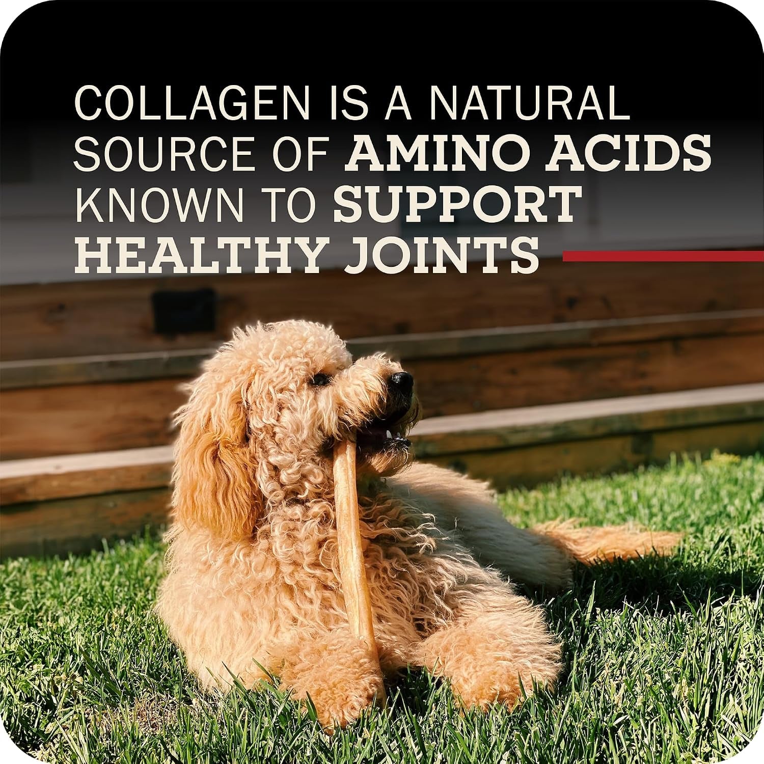 redbarn-pet-products-all-natural-large-12-beef-collagen-sticks-for-dogs-long-lasting-low-odor-alternative-to-traditional-rawhide-bully-sticks-supports-healthy-joints-skin-coat-3-pack
