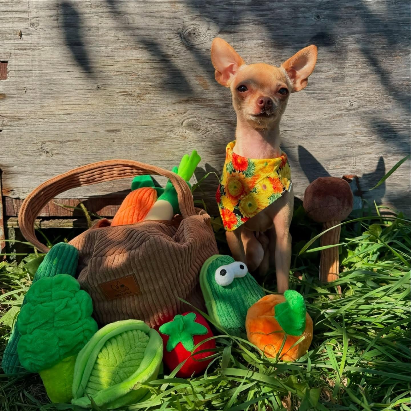 nocciola-squeaky-fruits-veggies-stuffed-dog-toys-pack-hide-seek-grocery-basket-crinkle-plush-puppy-toys-to-keep-busy-birthday-pet-supplies-gifts-for-small-medium-breeds