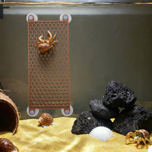 Hermit Crab Climbing Toy, Reptile Habitat Decor Exercise Playground Hermit Crab Accessories for Tank and Aquarium Decoration (Brown)3
