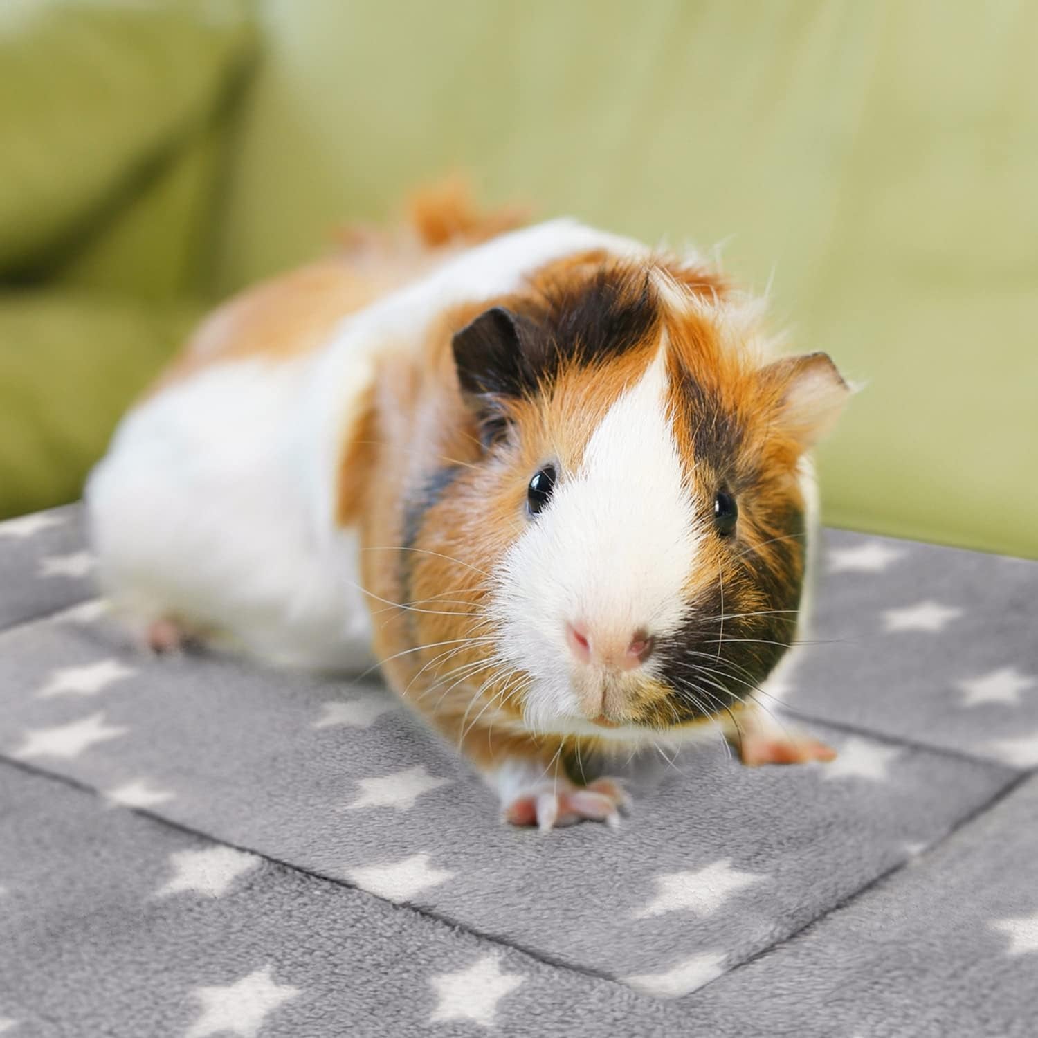 3pcs-rabbit-bed-soft-bunny-bedding-fleece-guinea-pig-blanket-warm-plush-sleeping-mat-cage-liner-for-hamster-ferret-squirrel-hedgehog-rat