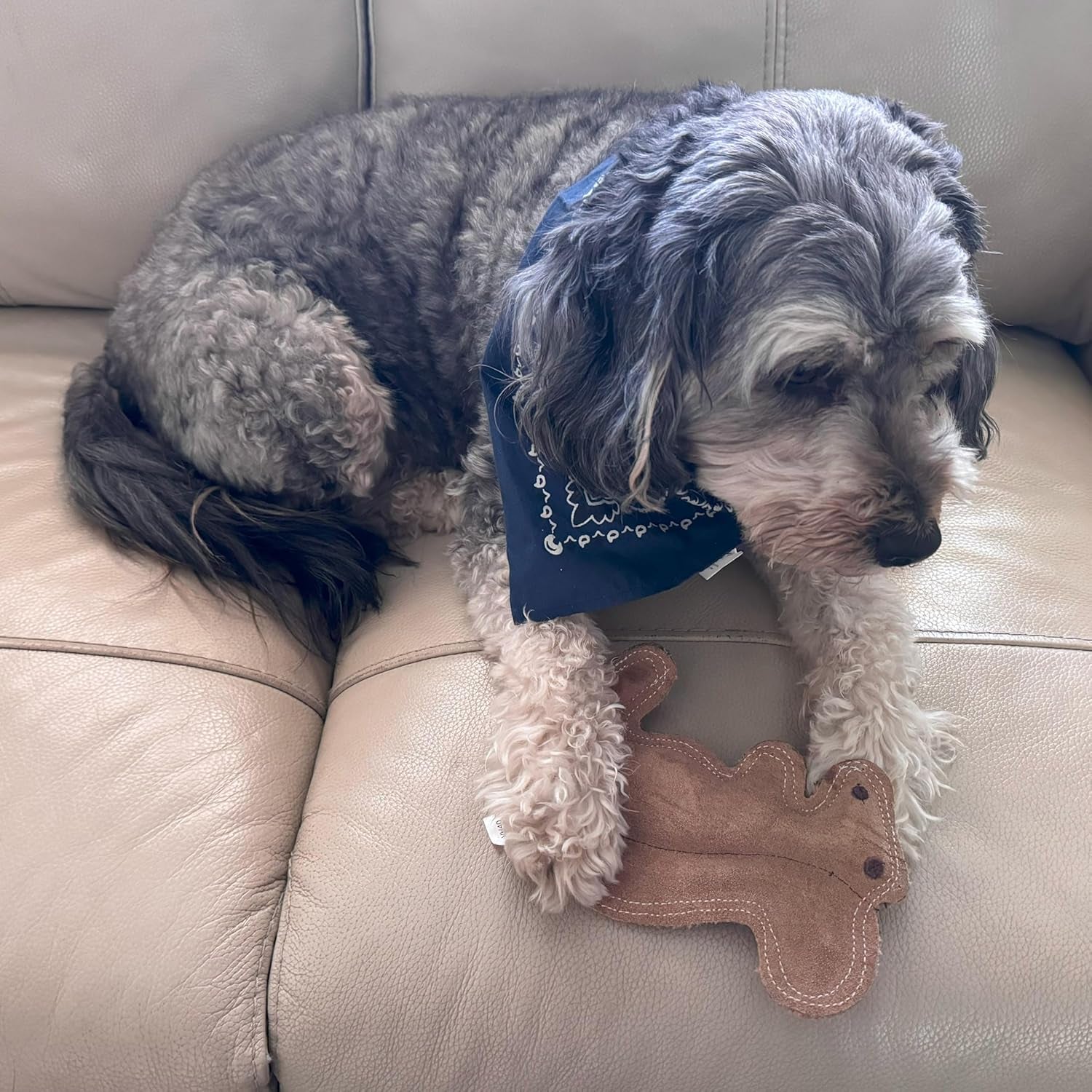 spot-dura-fused-leather-squirrel-dog-toy-real-leather-jute-fabric-double-stitched-durable-soft-stuffed-squeaky-interactive-chew-toy-for-moderate-chewers-small-medium-dogs-8in