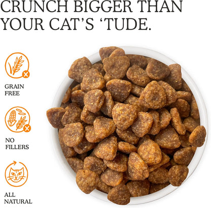 Cat Person, Chicken Savory Crunchies Cat Treats, 2Oz Bag4