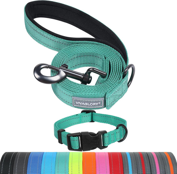 VIVAGLORY Dog Leash Puppy Leash for Collar, 3Ft X 1In, Black | with Soft Padded Handle for Training & Walking, Heavy Duty & Double Layer Nylon Pet Puppy55