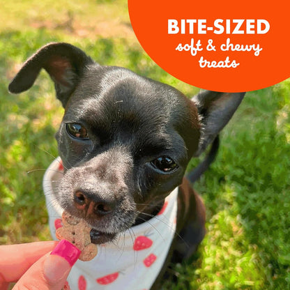 Buddy Softies Soft & Chewy Dog Treats Peanut Butter 20 Oz. Jar8