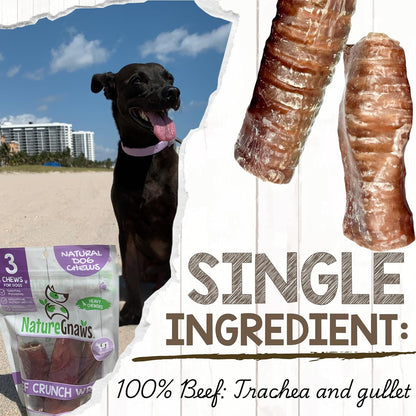Nature Gnaws Beef Trachea Crunch Wraps for Dogs (3 Count) - Long Lasting Natural Beef Jerky Dog Chew Bones - Rawhide Free3