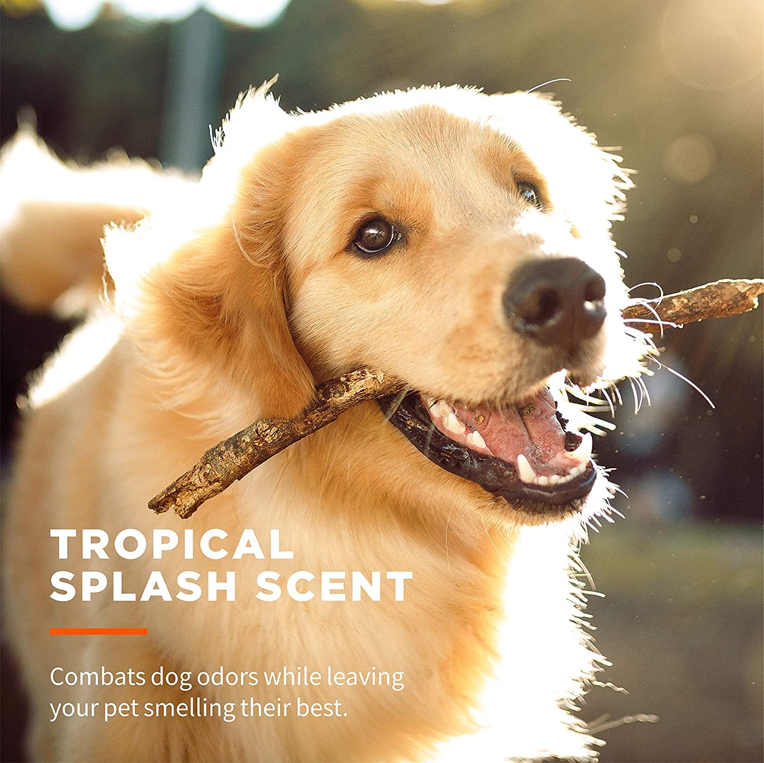 wet-ones-for-pets-paw-and-tushie-dog-wipes-tropical-splash-30-count-chamomile-infused-wipes-wet-lock-seal-tropical-splash-scent-paws-and-butt-cleanup