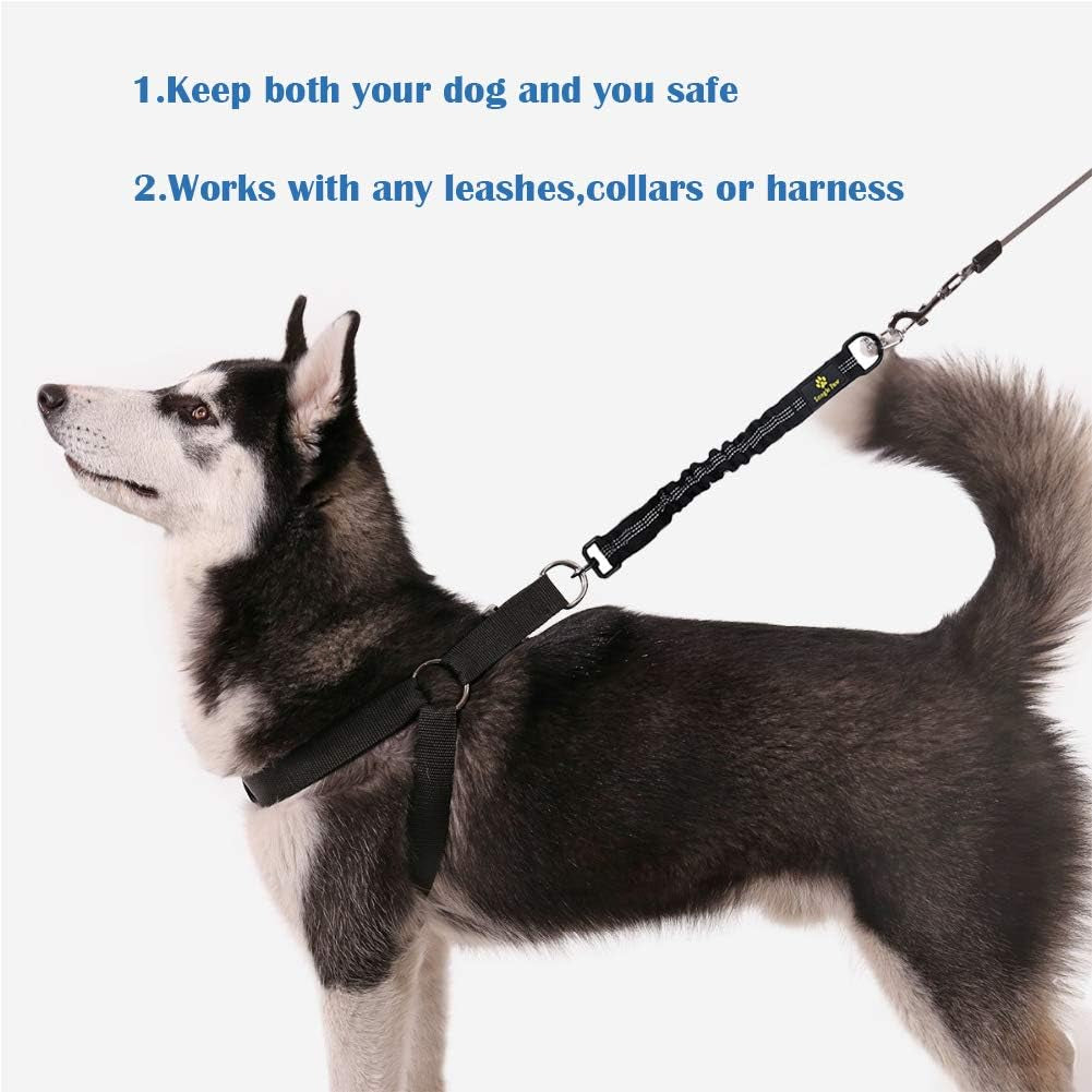 bungee-dog-leash-extension-attachment-18-shock-absorbing-lead-extension-absorber-prevent-injury-on-arm-and-shoulder-save-dogs-from-getting-hurt-great-for-bicycle-running-walking