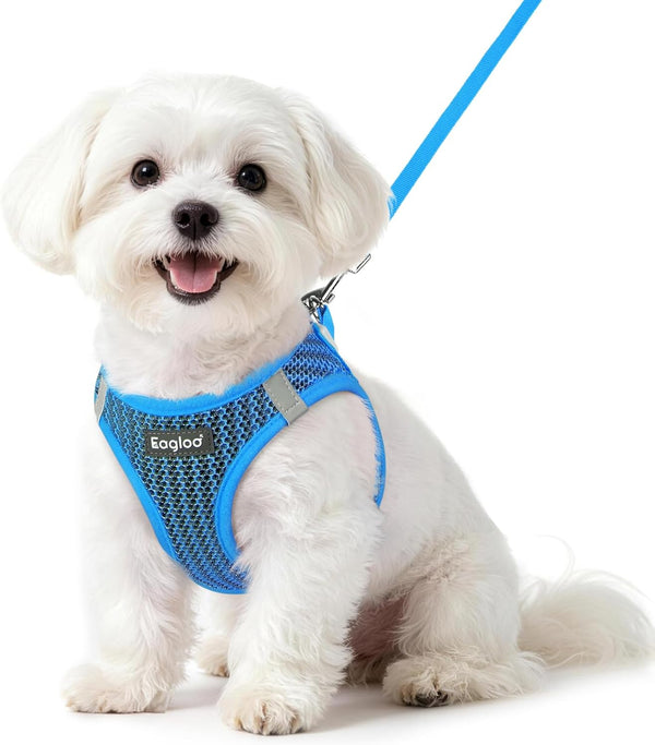 Eagloo Small Dog Harness and Leash Set, Step in Small Sized Puppy Pet Vest | Light, Soft, Breathable Air Mesh, Easy on and off with Hook & Loop, Reflective for Safe Walking, Pink, S24