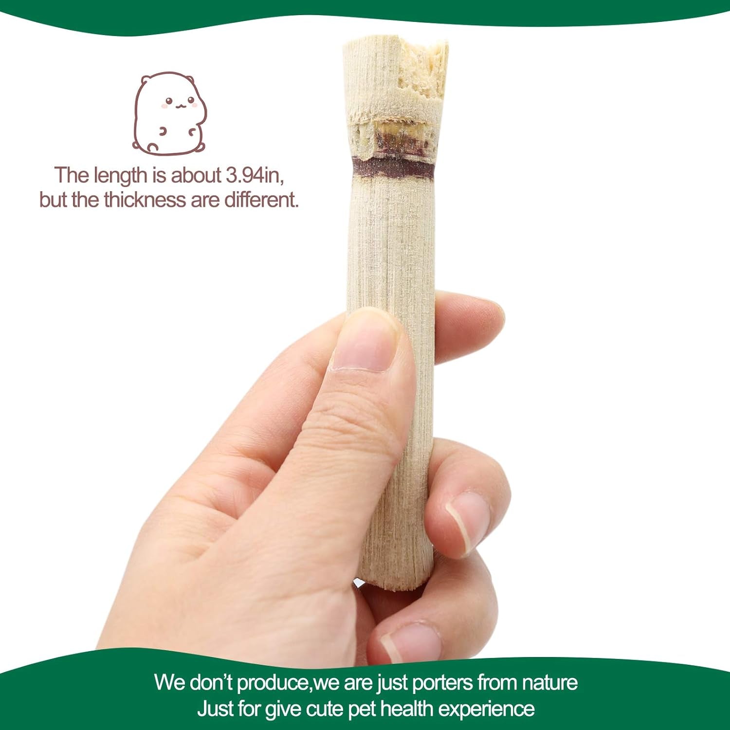 bwogue-100g-pet-snacks-bamboo-chews-for-rabbits-sweet-bamboo-chew-sticks-about10-14-sticks-3-94-in-bamboo-sticks-for-rabbits-rabbit-chew-toys-squirrels-guinea-pigs-chinchillas-hamsters