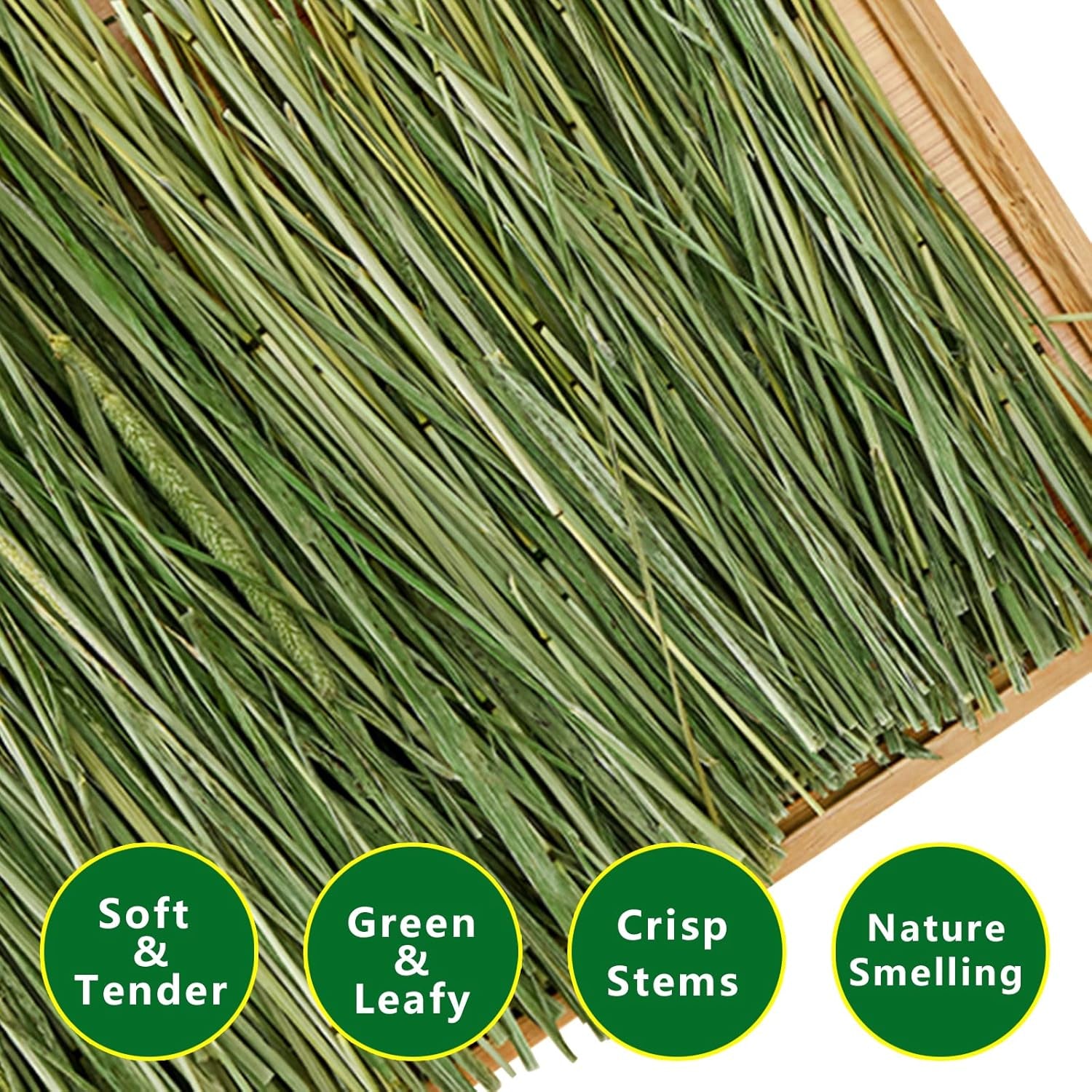timothy-hay-6-6lbs-small-pet-feed-hand-selected-natural-fresh-timothy-hay-for-rabbits-guinea-pigs-chinchillas-6-packs-of-1-1lbs-each