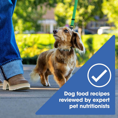 Nature'S Recipe Grain Free Small Breed Dry Dog Food, Chicken, Sweet Potato & Pumpkin Recipe, 4 Lb. Bag5