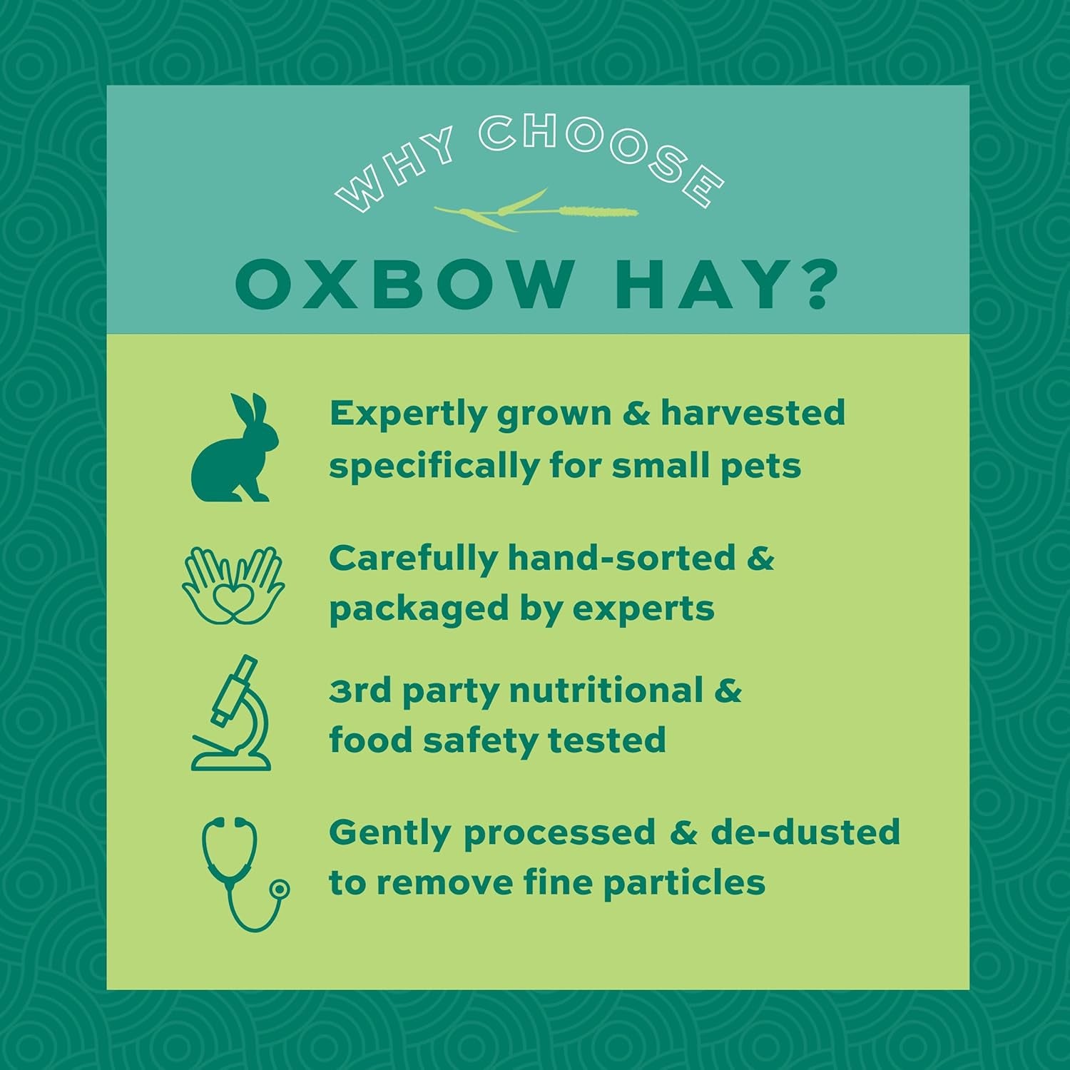 oxbow-western-timothy-hay-guinea-pig-hay-small-pet-bunny-supplies-all-natural-grass-for-guinea-pig-bunny-chinchilla-hamster-oxbow-rabbit-supplies-for-bunnies-9-lb-box-oxbow-timothy-hay-bunny-hay-for-rabbits-guinea-pigs-bunnies-and-chinchillas-hand-sorted-de-dusted-made-in-usa