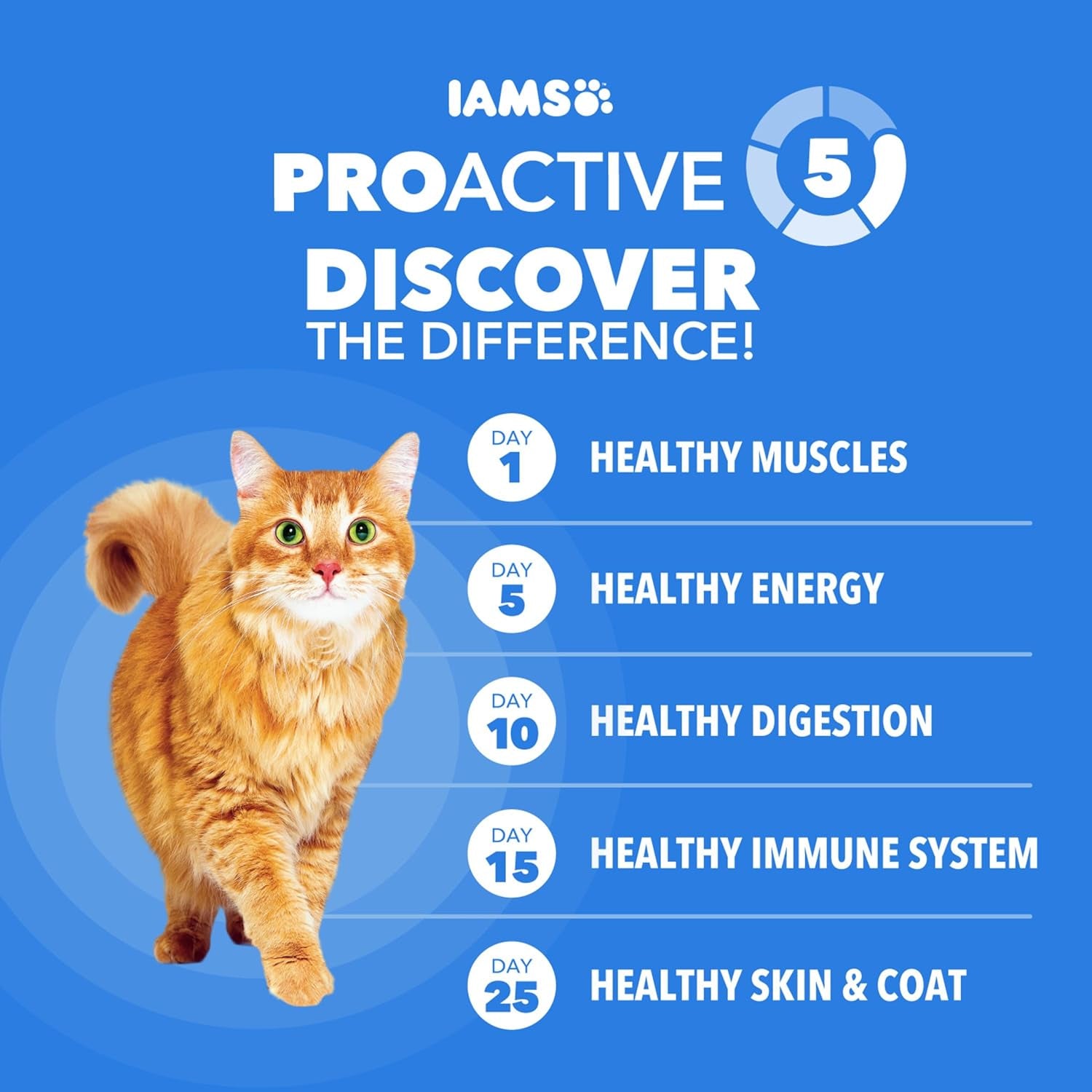 iams-healthy-enjoyment-dry-cat-food-chicken-salmon-recipe-3-lb-vet-recommended-real-chicken-1-ingredient-natural-fiber-prebiotics-supports-immune-digestive-health-muscle-care