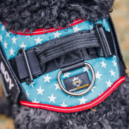 DOGGYKINGDOM No Choke Dog Harness with Handle and Patch Panels, Adjustable Reflective Dog Vest for Small Sized Dog, Blue, S7