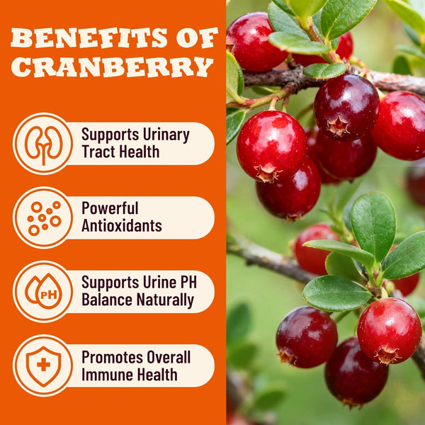 Cranberry Cat Treats for Urinary Tract, Chicken Flavor, 13.05Oz | Urinary Tract Cat Treats Healthy for Uti, Kidney Support & Bladder Control. Crunchy Urinary Cat Treats for Indoor Cats4