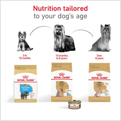 ROYAL CANIN Breed Health Nutrition Yorkshire Terrier Adult Dry Dog Food, 2.5 Lb Bag.7