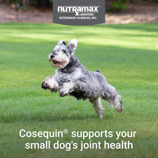 Nutramax Cosequin Small Dog Joint Supplement, Soft Chews, 45Ct | Joint Support Soft Chews for Small Dogs with Glucosamine and Chondroitin, Boswellia, All Ages3