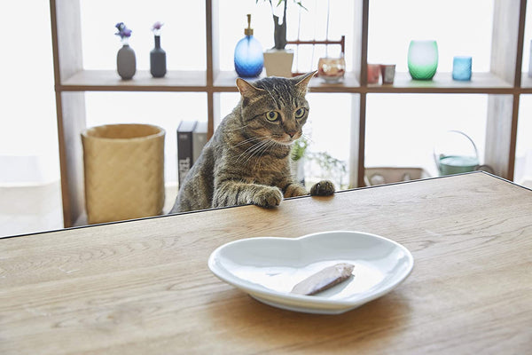 INABA USA504 Ciao Grilled Cat Treat with Added Vitamin E, One Size/0.5 Oz4