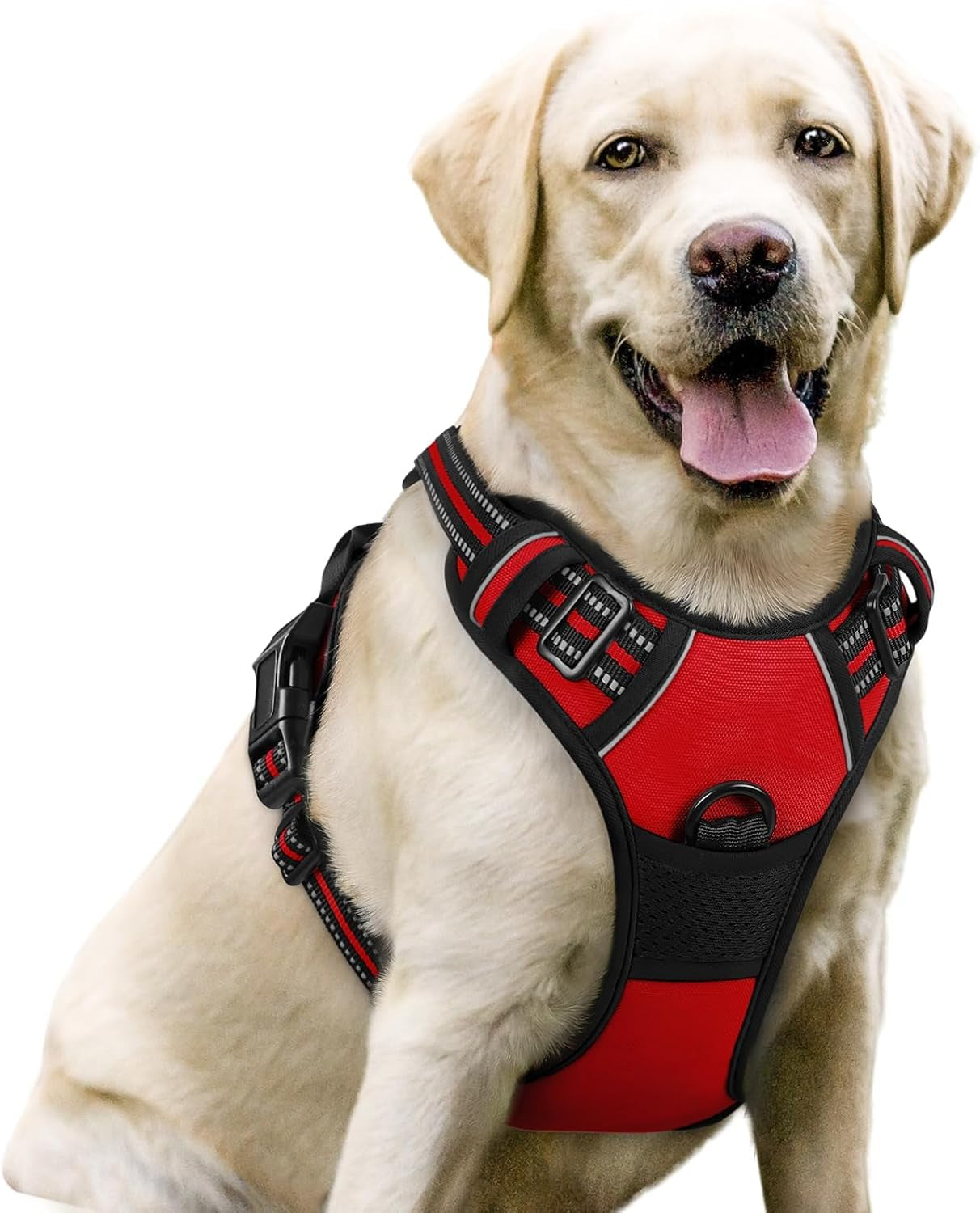 rabbitgoo-dog-harness-no-pull-for-large-dogs-with-2-leash-clips-pet-vest-no-choke-with-handle-adjustable-soft-padded-reflective-easy-control-for-walking-black-large