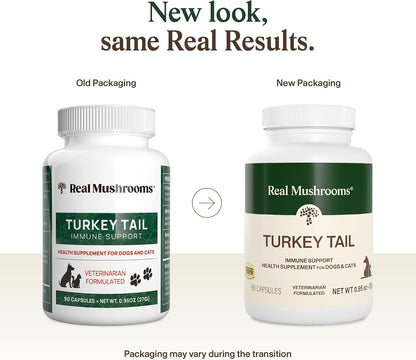 Real Mushrooms Turkey Tail Capsules for Pets –Cat Probiotics & Dog Vitamins – Organic Mushroom Supplement for Dogs & Cats – Supports Daily Balance & Well-Being Non-Gmo, 90 Ct | Daily Balance and Well-Being Support, Organic Turkey Tail Extract, Non-Gmo, Pet Mushroom Supplement, for Dogs and Cats2