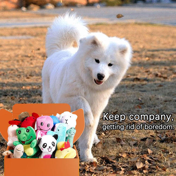 LEGEND SANDY Squeaky Plush Dog Toy Pack for Puppy, Small Puppy Chew Toys | 12 Pcs Puppy Toys, Dog Toys Bulk with Squeakers, Cute Soft Pet Toy for Small Medium Size Dogs, Gift Fot Pet6
