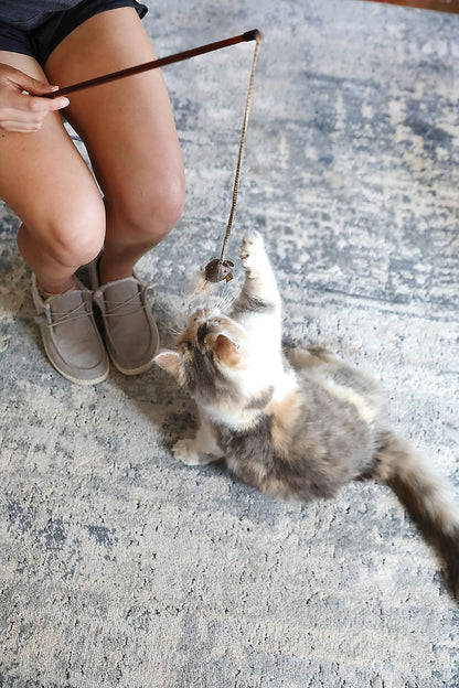 Ourpet'S Play-N-Squeak Teathered & Feathered Play Wand Cat Toy, for All Breed Sizes4