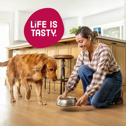 Kibbles 'N Bits Bistro Dry Dog Food, Oven Roasted Beef Flavor, 45 Lb. Bag | Complete & Balanced Nutrition Formulated for Adult Dogs of All Breeds & Sizes Crafted with Spring Vegetable & Apple Flavors6