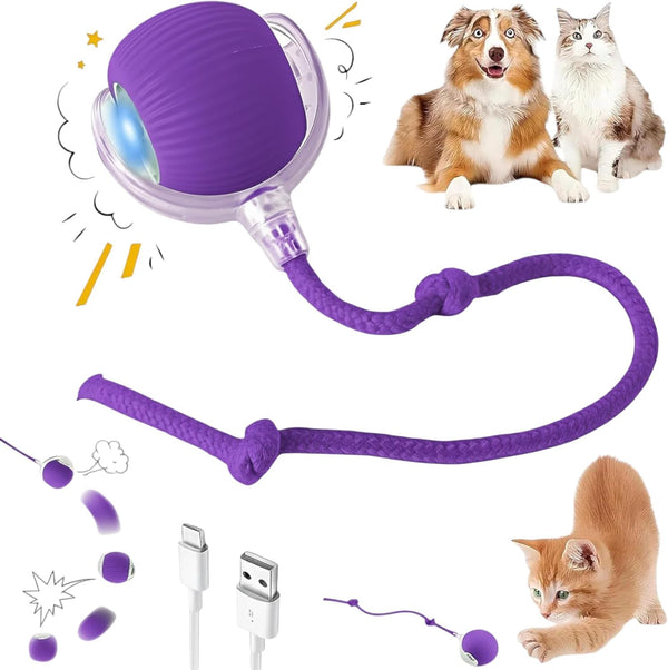 Purrmitive 2026 Durable Interactive Cat Toys for Indoor Cats, Dog Toys Ball, Rolling Pet Ball, Smart Automatic Cat Chase Balls Toy, Interactive Dog Toys Speedy Tail,Kitten & Cat Toys Interactive (Red)12