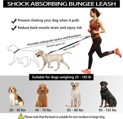 Hands Free Dog Leash, Waist Running Leash with Zipper, Walking Pouch for Medium Large Dogs, Dual Handle and Retractable Bungee for Training Jogging Hiking2