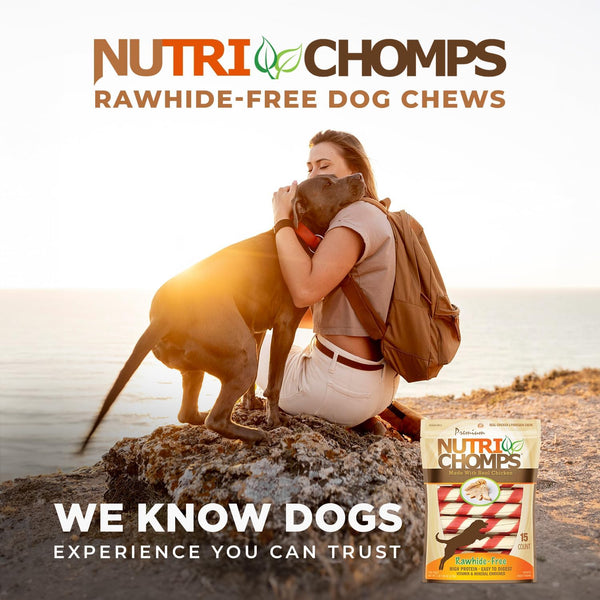 Nutrichomps Dog Chews, 6-Inch Twists, Easy to Digest, Long Lasting, Rawhide-Free Dog Treats, 15 Count, Real Chicken Flavor | a Rawhide-Free Chew That'S Gentle and Easy to Digest, Made with the Real, Wholesome Ingredients Dogs Love6