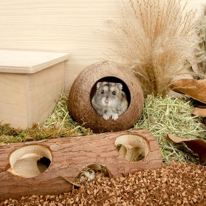 Andwe Coconut Hut Hamster House Bed for Gerbils Mice Small Animal Cage Habitat Decor6