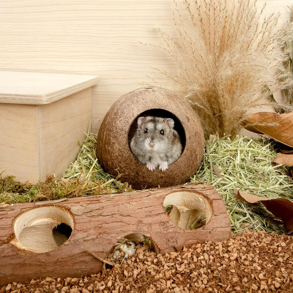 Andwe Coconut Hut Hamster House Bed for Gerbils Mice Small Animal Cage Habitat Decor6