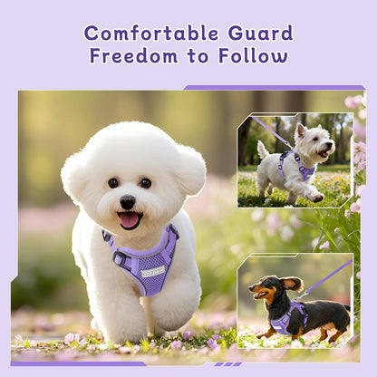 Small Dog Harness and Leash Set, Adjustable Small Sized Pet Vest | Reflective Soft Breathable Mesh, 3 Buckles, Adjustable Neck and Chest, Easy on and Comfortable Secure Walking, Purple, S7
