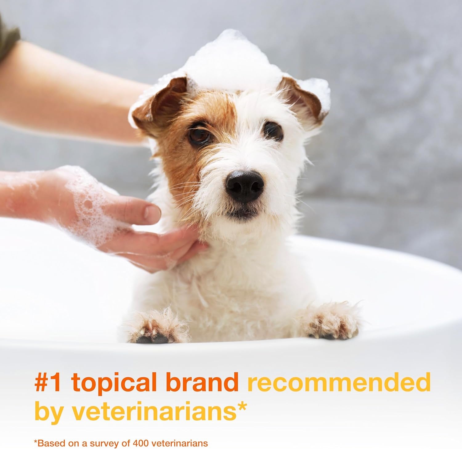 douxo-s3-pyo-medicated-dog-shampoo-with-3-chlorhexidine-for-dogs-antibacterial-antiseptic-yeast-infection-treatment-for-dogs-cats-clinically-proven-6-7-fl-oz-antibacterial-antiseptic-yeast-infection-treatment-for-dogs-cats-clinically-proven-6-7-fl-oz