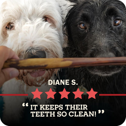 Redbarn Pet Products All Natural 5"-8" Braided Bully Sticks for Small & Large Dogs - Healthy Long Lasting Beef Chews Variety Party Pack - Single Ingredient Low Odor Rawhide Free - 8 Oz Bag11