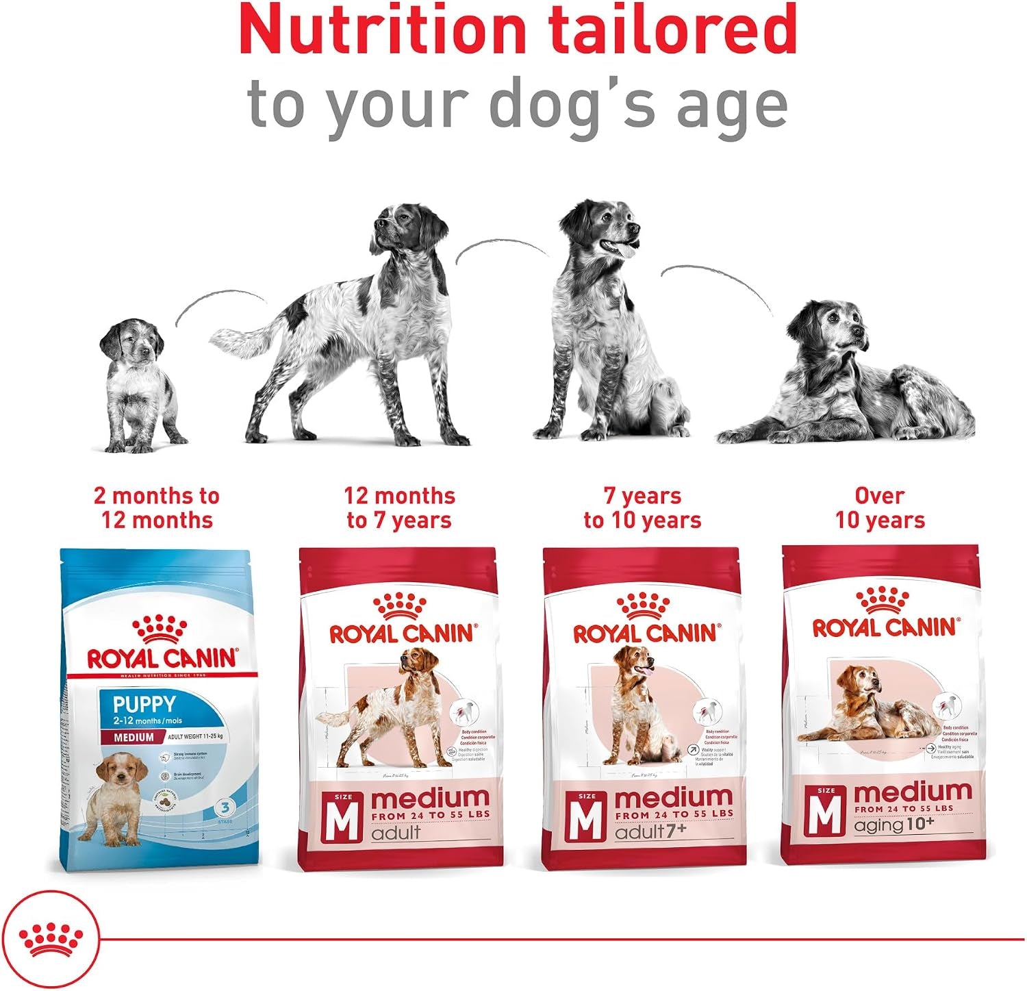royal-canin-size-health-nutrition-medium-adult-dry-dog-food-17-lb-bag
