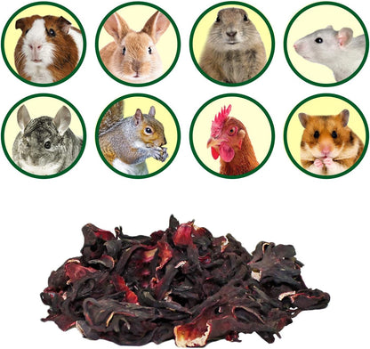 Hibiscus Flower Treat (1Oz)- Healthy Natural Dried Flower Herbivore Treat - Chinchillas, Guinea Pigs, Rabbits, Prairie Dogs, Degus, Hamsters, Rats, Squirrels, Sugar Gliders & Other Small Pets3