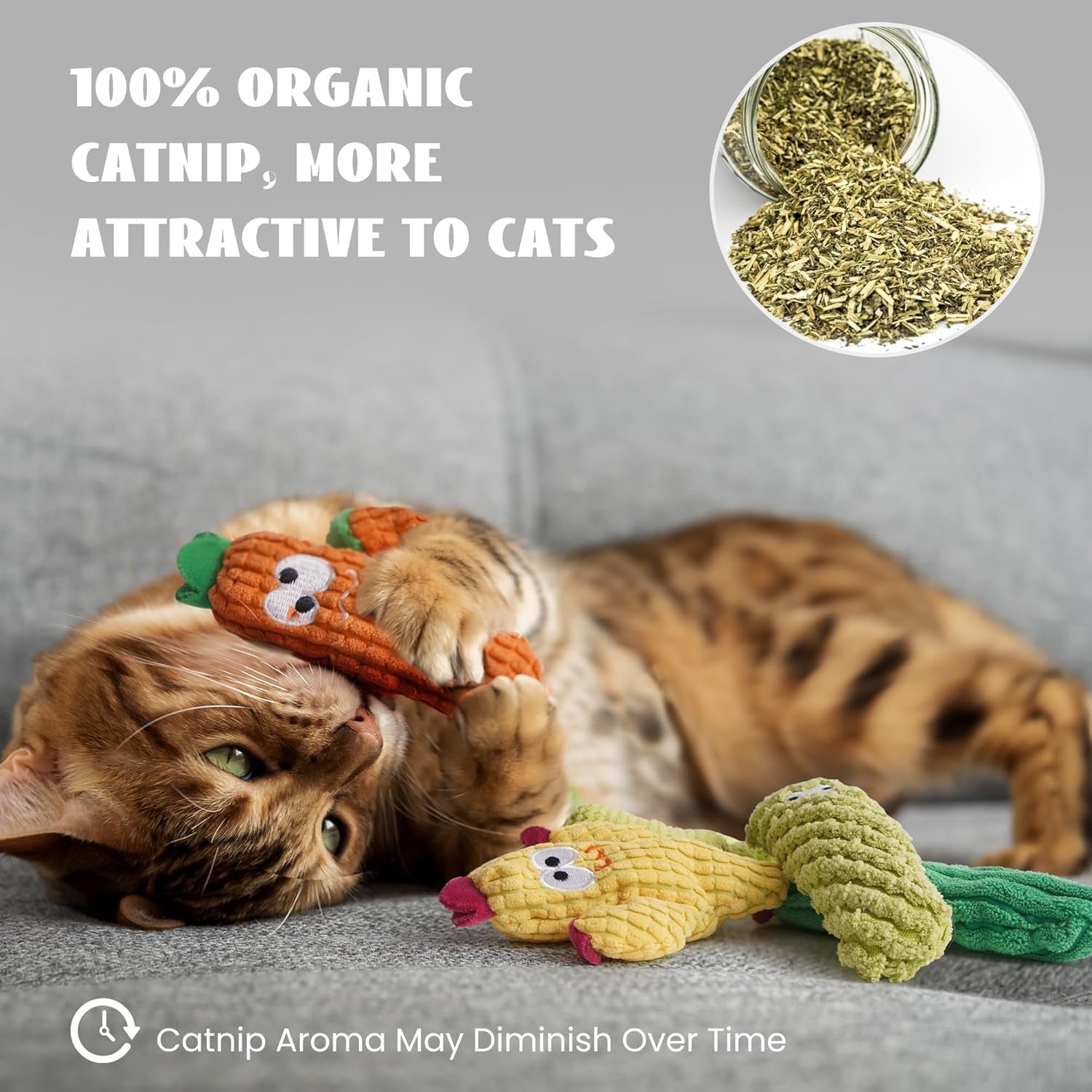 cactus-catnip-toys-100-pure-organic-catnip-filled-toys-without-cotton-5-pack-interactive-kitten-toy-for-anxiety-relief-soft-cute-teething-chew-toys-for-indoor-cats