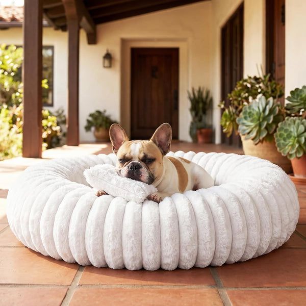 Donut Pet Bed for Indoor Cats and Small Dogs, Self-Heating Dog Bed with Non-Slip Bottom, Winter Comfort Dog Beds for Puppies, Washable & Portable Egg Tart Shape (S) Small Cat Bed Self Warming9