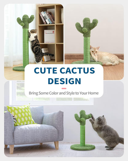 Made4Pets Cactus Cat Scratching Post for Indoor Cats with Plush Ball, 25.6" | Interactive Cactus Cat Scratcher with Natural Sisal Rope, Sturdy Base and Plush Ball for Daily Scratching and Indoor Play8