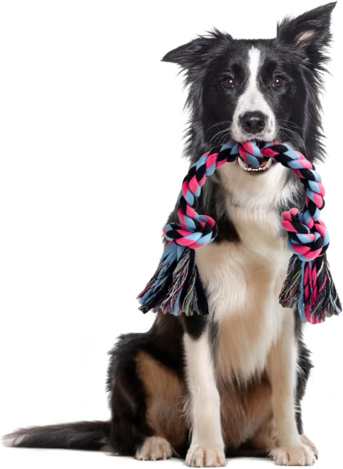 sharlovy-large-tough-chew-toys-for-aggressive-chewers-large-breed-heavy-duty-dental-rope-toys-kit-for-medium-dogs-5-knots-indestructible-cotton-puppy-teething-chew-tug-toy-set-of-9