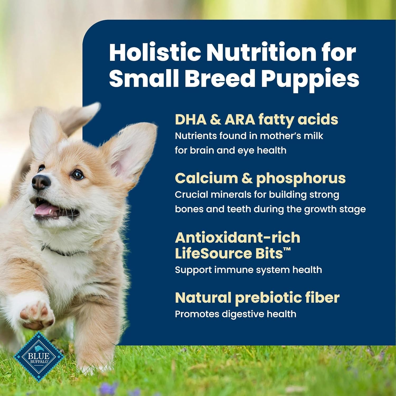 blue-buffalo-life-protection-formula-chicken-small-breed-puppy-food-5-lb-with-dha-for-brain-development-real-chicken-1-ingredient-antioxidant-rich-lifesource-bits-formulated-for-small-breed-dogs