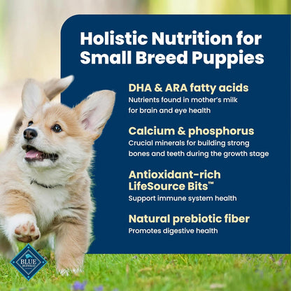 Blue Buffalo Life Protection Formula Chicken Small Breed Puppy Food, 5 Lb | with DHA for Brain Development, Real Chicken #1 Ingredient, Antioxidant-Rich Lifesource Bits, Formulated for Small Breed Dogs3