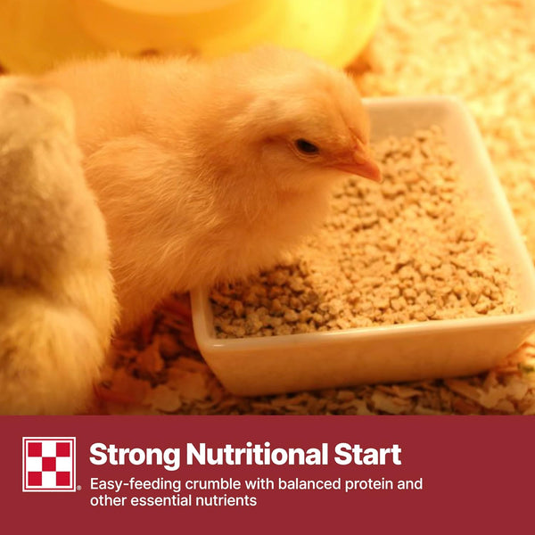 Purina Start & Grow | Nutritionally Complete Medicated Chick Feed Crumbles | 25 Pound (25 Lb.) Bag8