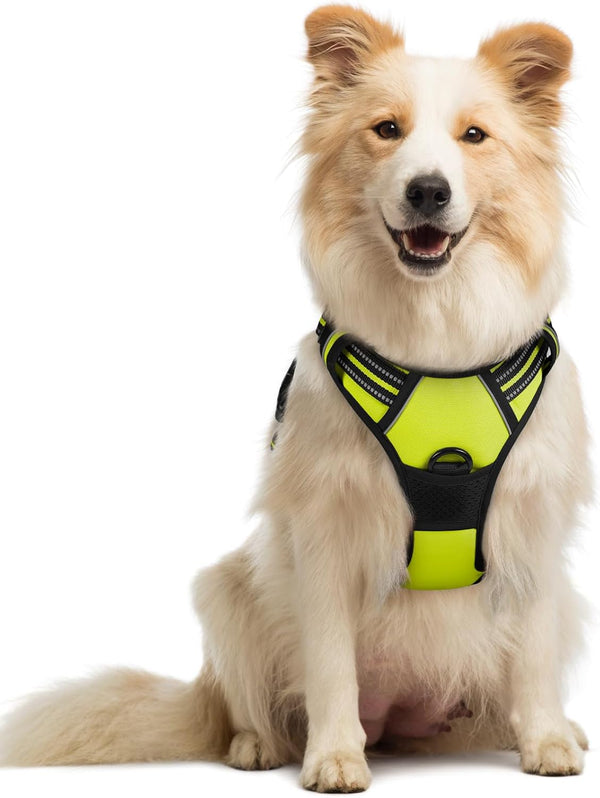 Rabbitgoo Dog Harness, No Pull for Large Dogs with 2 Leash Clips, Pet Vest | No Choke with Handle, Adjustable Soft Padded, Reflective, Easy Control for Walking, Black, Large72