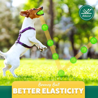 PUPTILY 2 Different Functions Interactive Ball for Dogs 2.5” Squeaky Dog Balls Toys and Puppy Teething Chew Toy Balls for Small Dogs for Clean Teeth and Training （5Pcs）7
