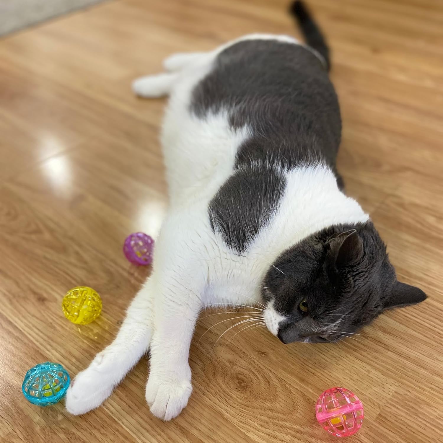spot-lattice-balls-cat-toys-durable-fun-balls-with-bells-perfect-for-swatting-and-batting-colorful-toys-to-entertain-indoor-cats-and-kittens-1-5-inch-4-pcs