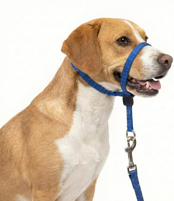 Headcollar for Dogs, Extra Soft Padded, Reflective, No Pull Dog Collar, Gentle Leader for Dogs with Durable Nylon Leash, Padded Handle - Navy Blue (Large)7